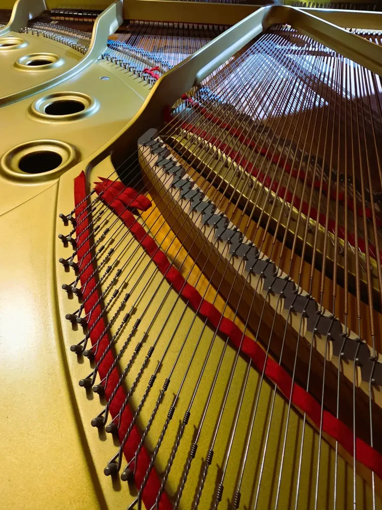 Cordiera del pianoforte yamaha c3.